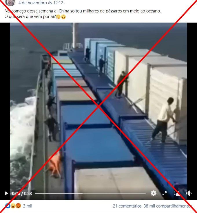 Vídeo de pássaros sendo soltos em navio não é experiência de laboratório