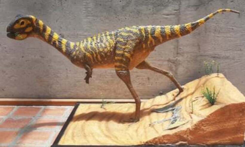 Nova espécie de dinossauro brasileira é banguela e tem nome de realeza  - UFRJ/ divulgação 