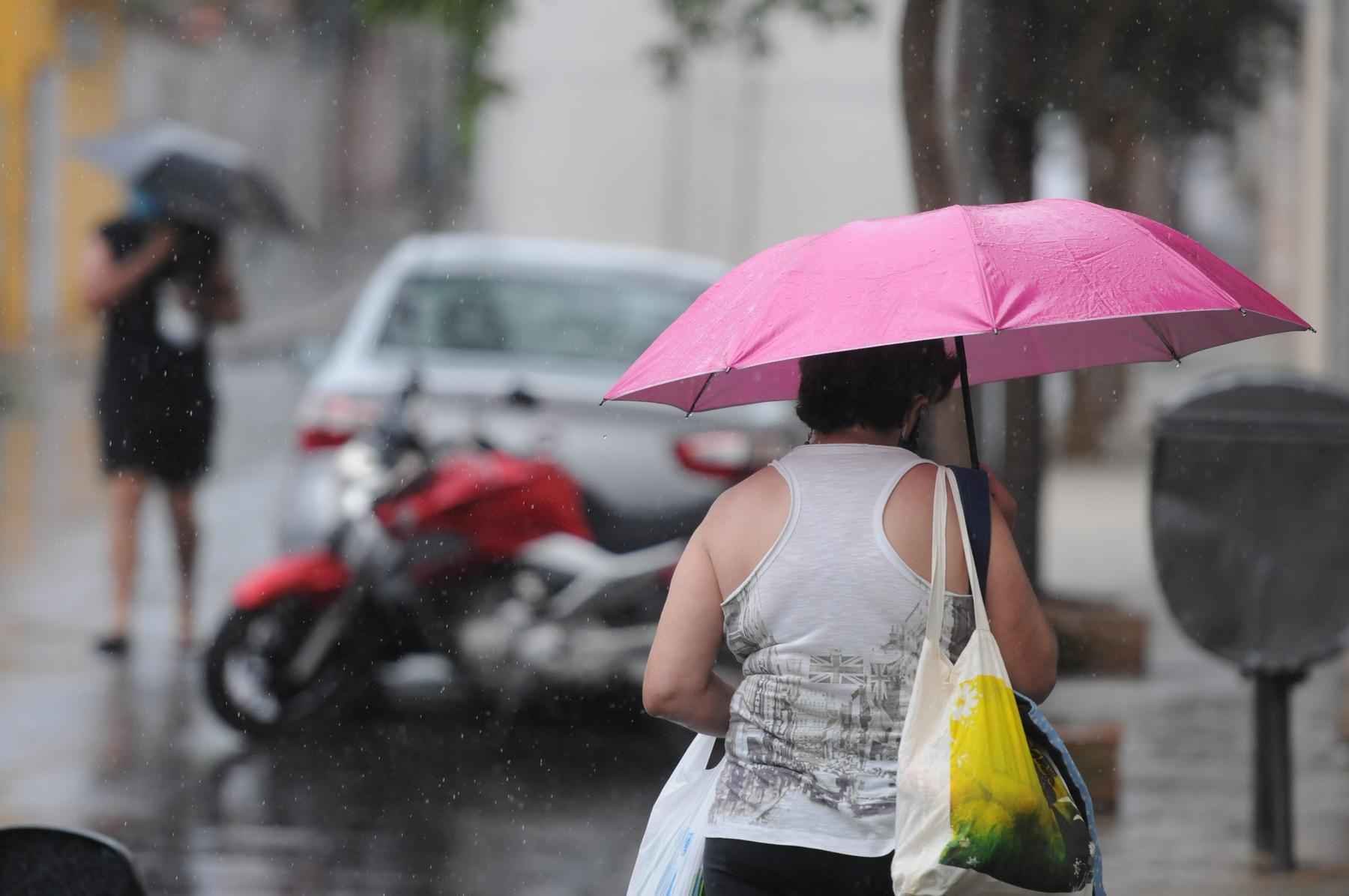 Chuva em Minas: Inmet emite alerta de temporais em 675 cidades; veja lista - Leandro Couri/EM/D.A Press