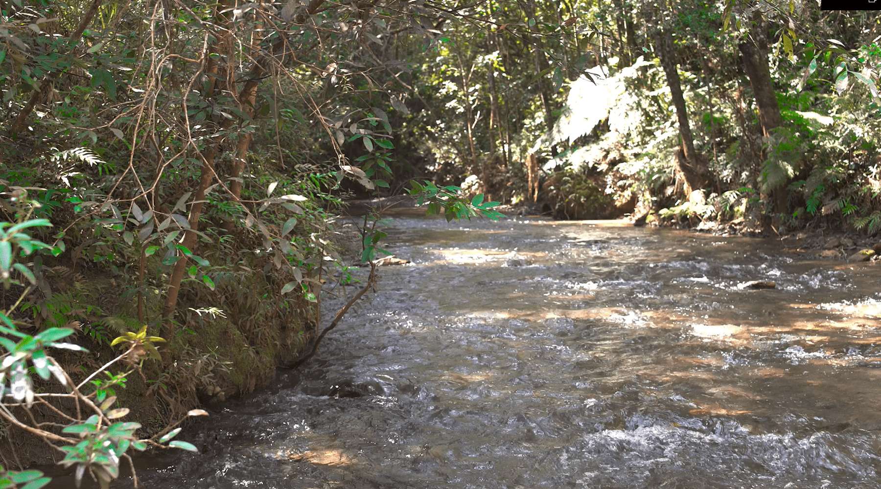 Projeto na Serra da Moeda não afetará mananciais hídricos - Gerdau/Divulgação