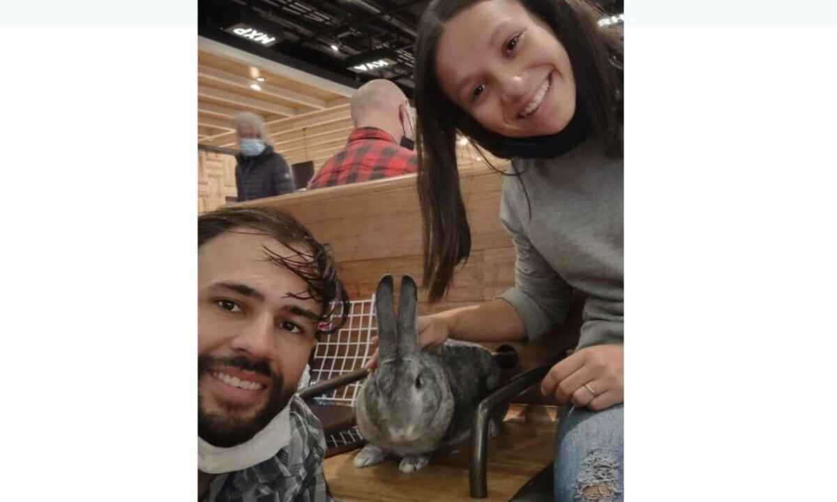 Após desentendimento em São Paulo, casal mineiro segue viagem com coelho - Reprodução/Instagram Pé na estrada de Jeep