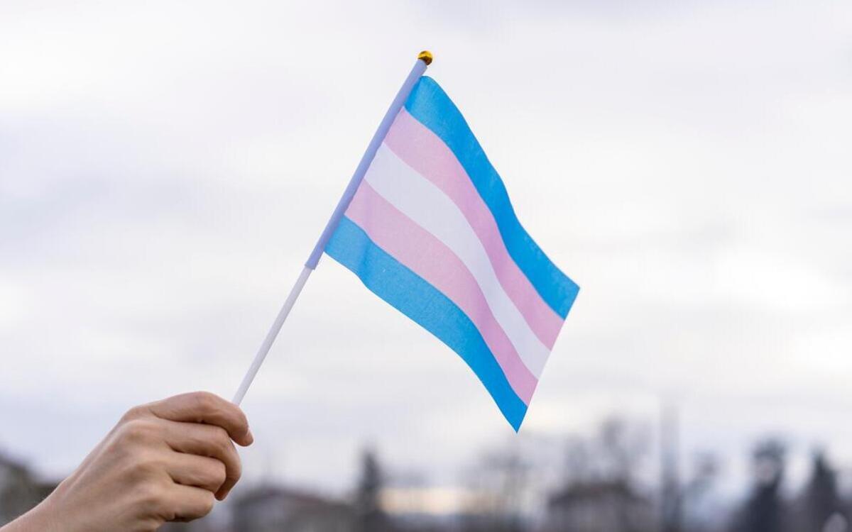 Transgêneros e não binários são 2% dos brasileiros, diz estudo - PIXABAY/REPRODUÇÃO