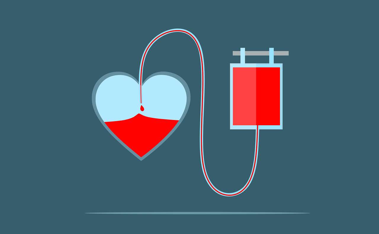 Hemoservice promove a Semana do Doador para aumentar os estoques de sangue - Pixabay 