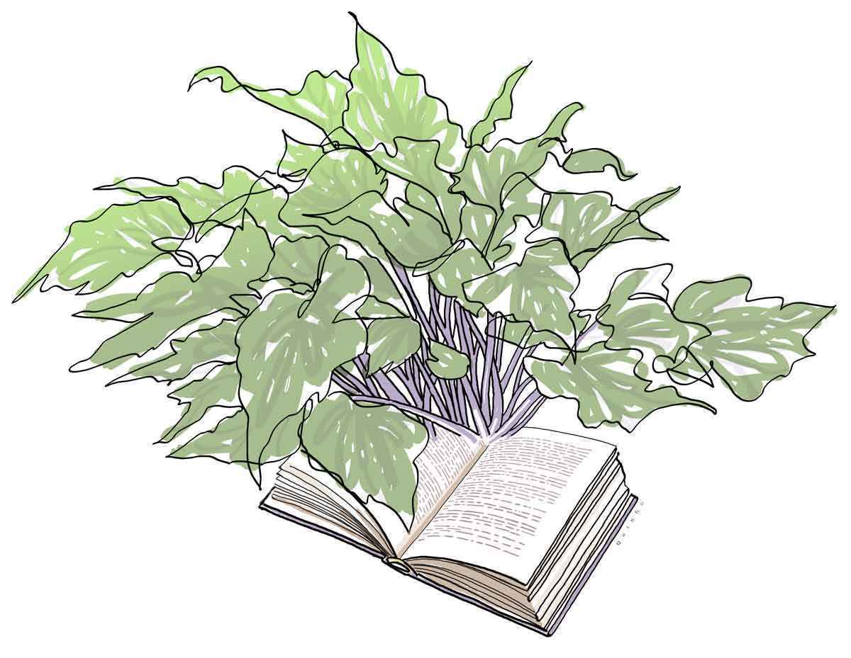 Evando Nascimento lança livro sobre plantas e letras