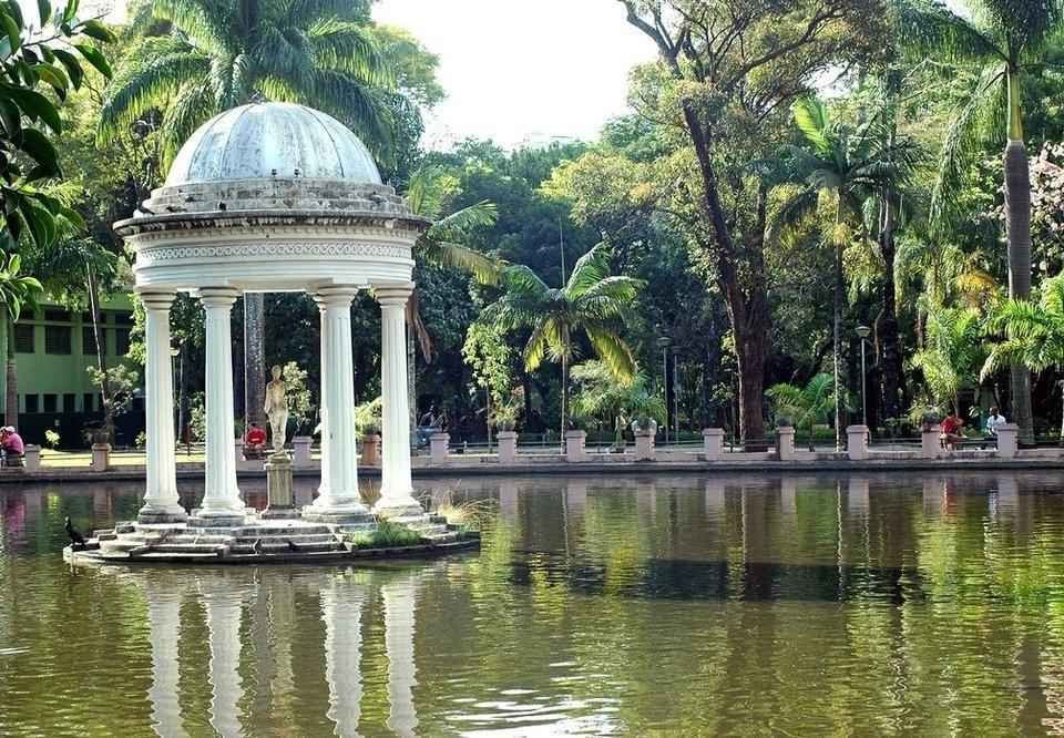 Parque Municipal reabre nesta quinta (2), após 9 meses fechado; veja regras - Breno Pataro/PBH