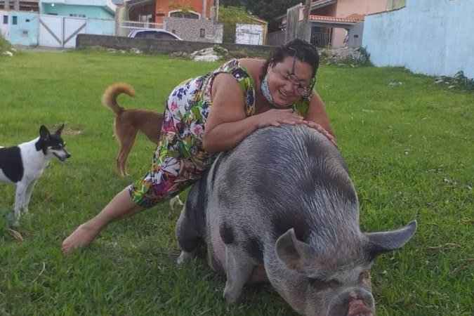 Mulher compra ''mini porco'' e animal fica com 250 kg e 1,60 m de altura - Arquivo Pessoal