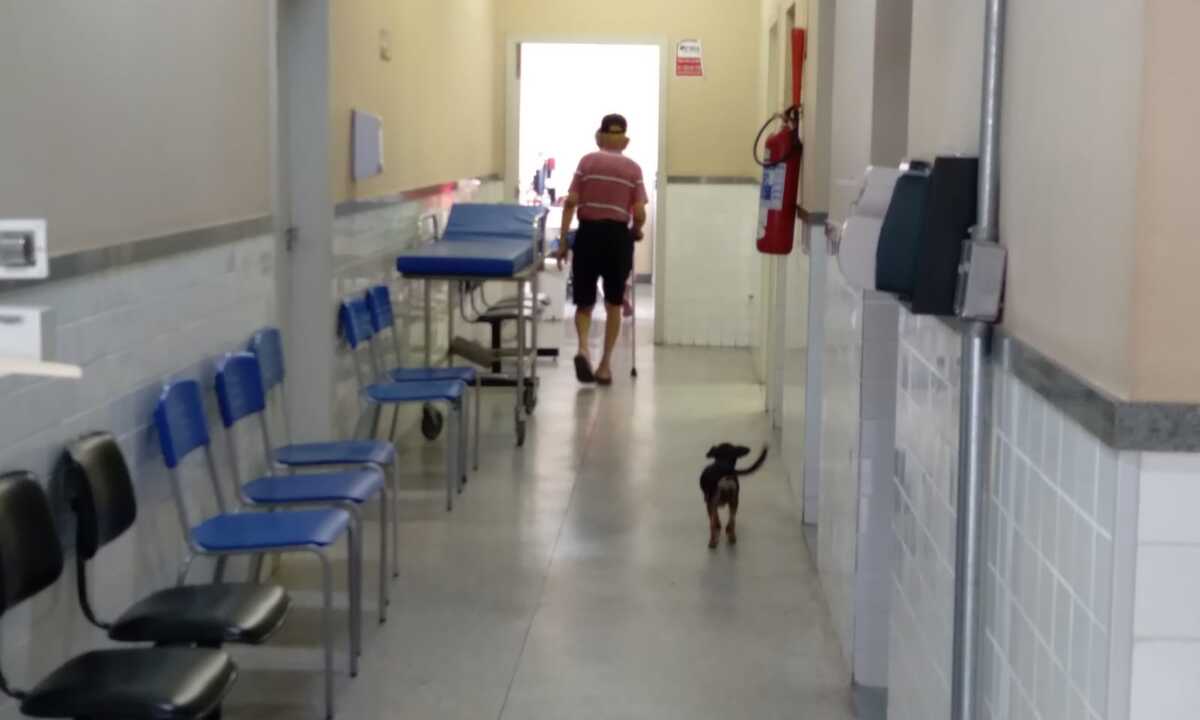 Cão acompanha dono durante a vacinação em posto de saúde de BH - Marcos Vieira/EM/D.A Press