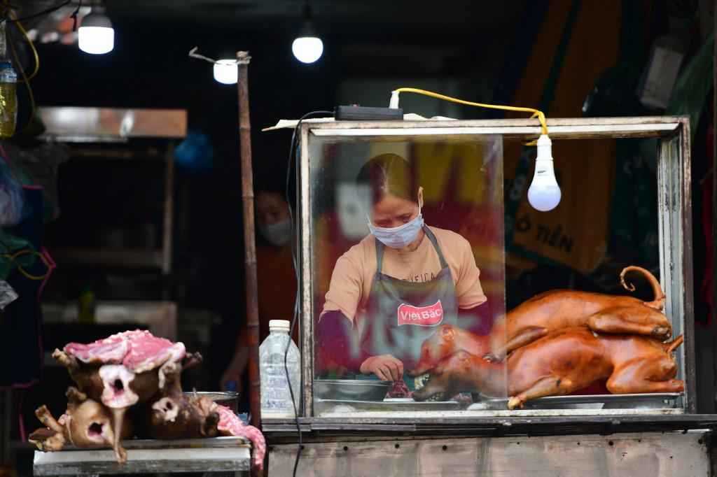 Cidade quer proibir venda de carne de cachorro e gato - Nhac NGUYEN / AFP