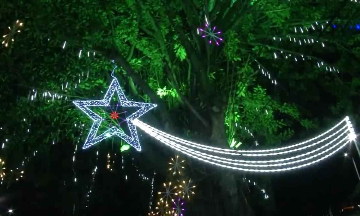 'Árvore da Vida', em JF, presta tributo aos mortos pela COVID-19 no Natal - Prefeitura de Juiz de Fora/Divulgação