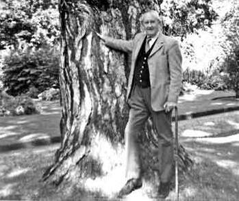 'A natureza da Terra-média' revela método criativo de J. R. R. Tolkien - REUTERS