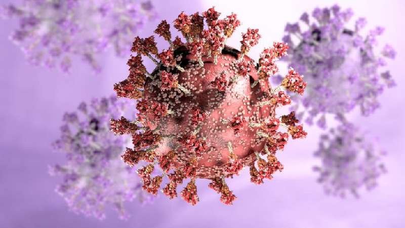Ômicron: por que é importante descobrir origem da variante - Getty Images