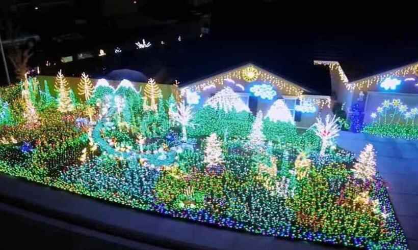 Show natalino: mulher usa 80 mil lâmpadas para enfeitar sua casa; veja  - Twitter/Reprodução 