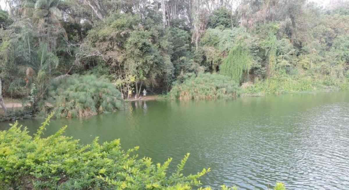 Parque Lagoa do Nado, em BH, é fechado por suspeita de caso de raiva - Andréa Moreira/PBH/Divulgação