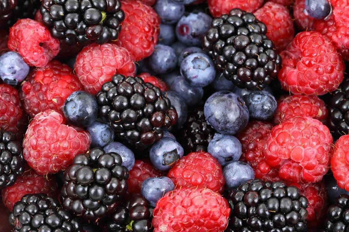 Dieta anti-inflamatória: não é regime, é estilo de alimentação - Pixabay
