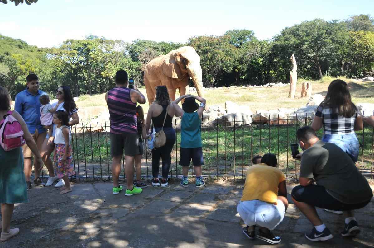 Zoológico de BH passa a receber visita sem agendamento nesta terça (4/1) - Gladyston Rodrigues/EM/D.A Press