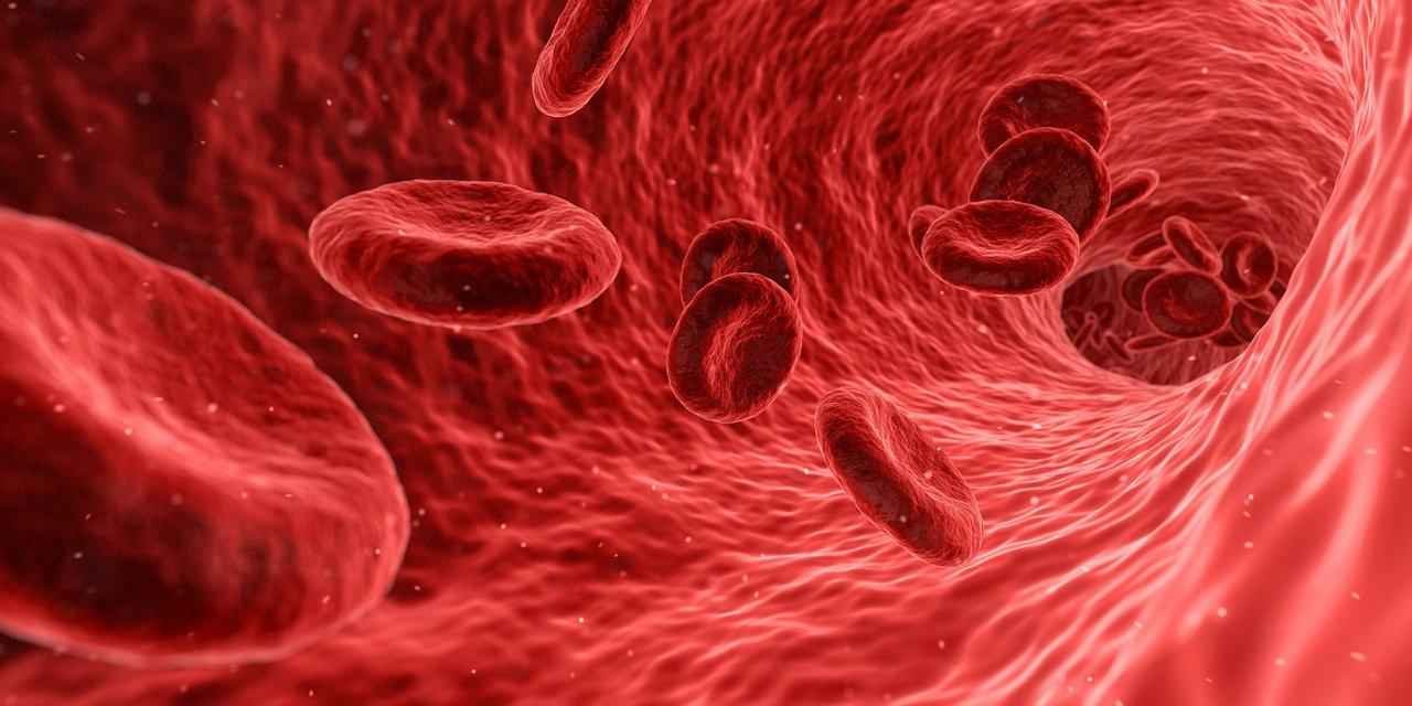 Tratamento adequado garante qualidade de vida para as pessoas com hemofilia - Pixabay 