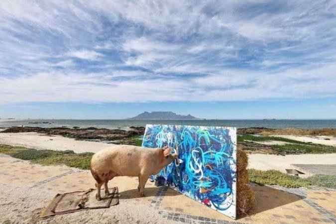 Porco 'Pigcasso' pinta com a boca e fatura até 20 mil libras - Reprodução/Instagram