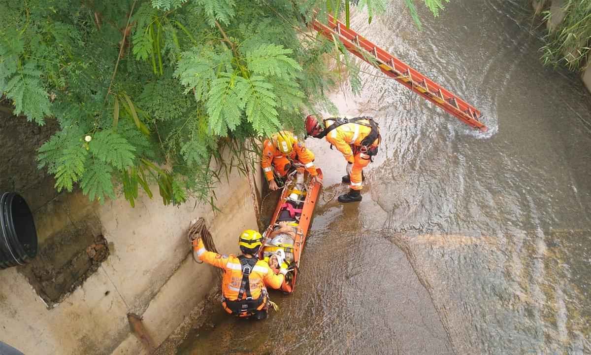 Cão salva mulher de 82 anos que caiu e passou a noite ferida em córrego  - 8º BBM/Divulgação