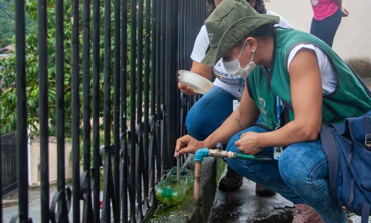 LIRAa aponta alto risco de infestação pelo mosquito da dengue em Ipatinga - divulgação/PMI