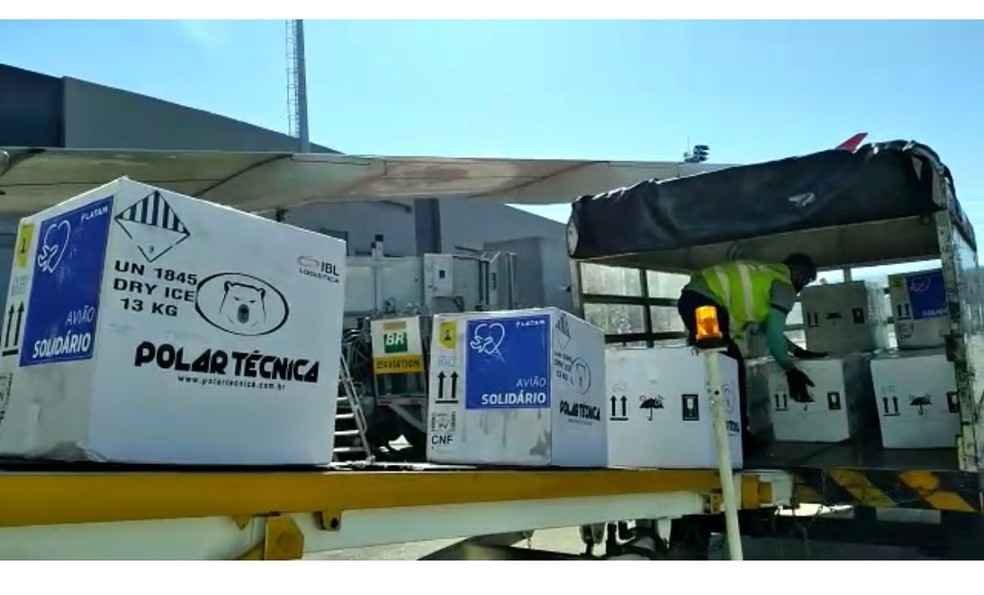 Minas Gerais, enfim, recebe mais 112,6 mil vacinas pediátricas - BH Airport/Divulgação