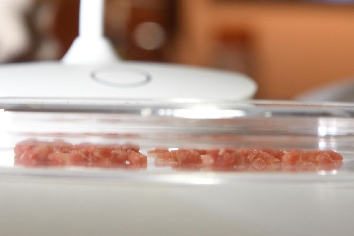Carne de laboratório é igual à carne real? Pesquisadora do Cefet-MG explica - Robyn Beck/AFP
