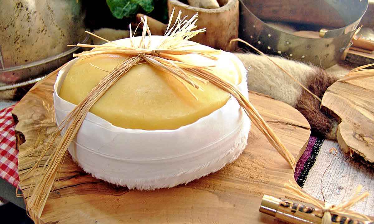 Entenda a diferença e a versatilidade de queijos amados por brasileiros - Governo de Portugal/divulgação