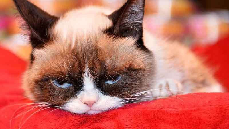 O surpreendente lado positivo do mau humor - Getty Images