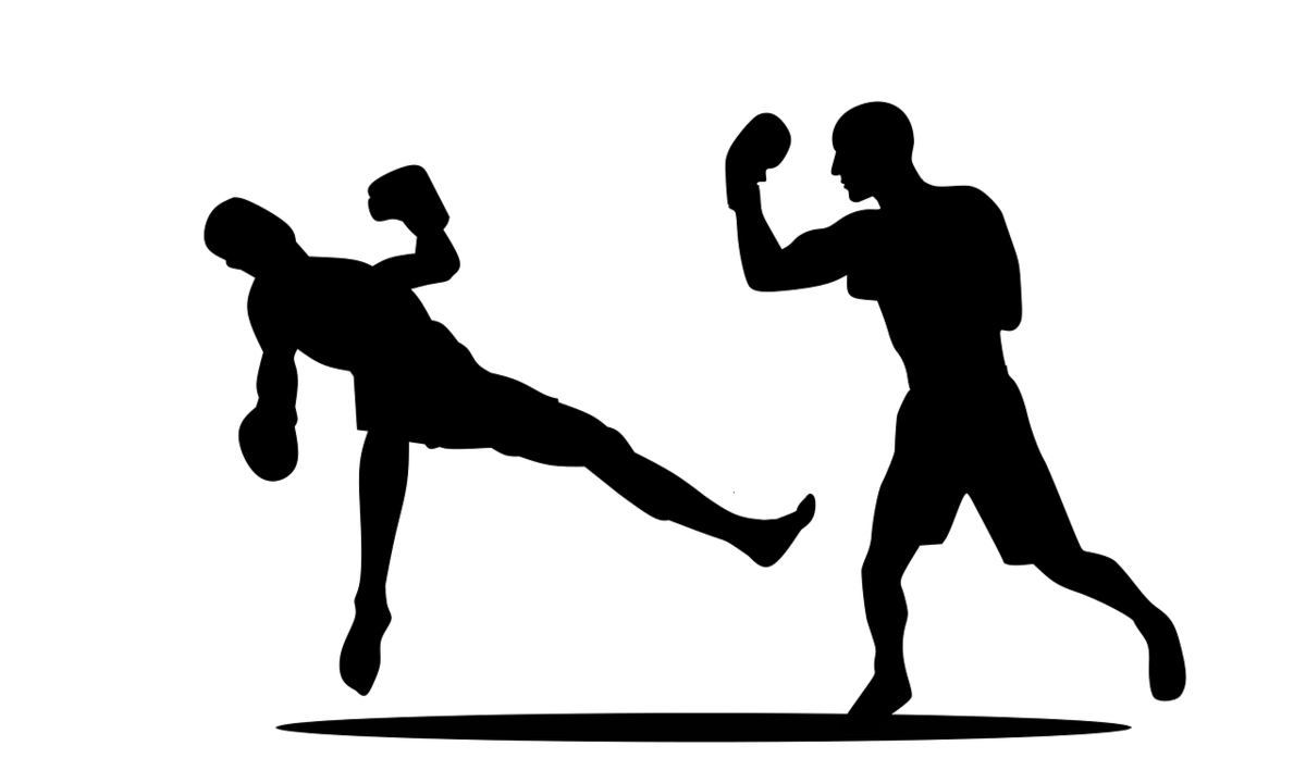Prefeito e presidente da Câmara de Santa Luzia se enfrentam em luta de boxe - Pixabay