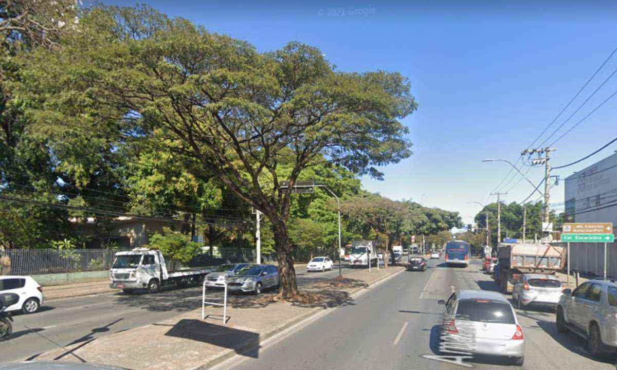 BH: colombiano sem capacete bate moto em árvore na Avenida Amazonas e morre - Google Street View