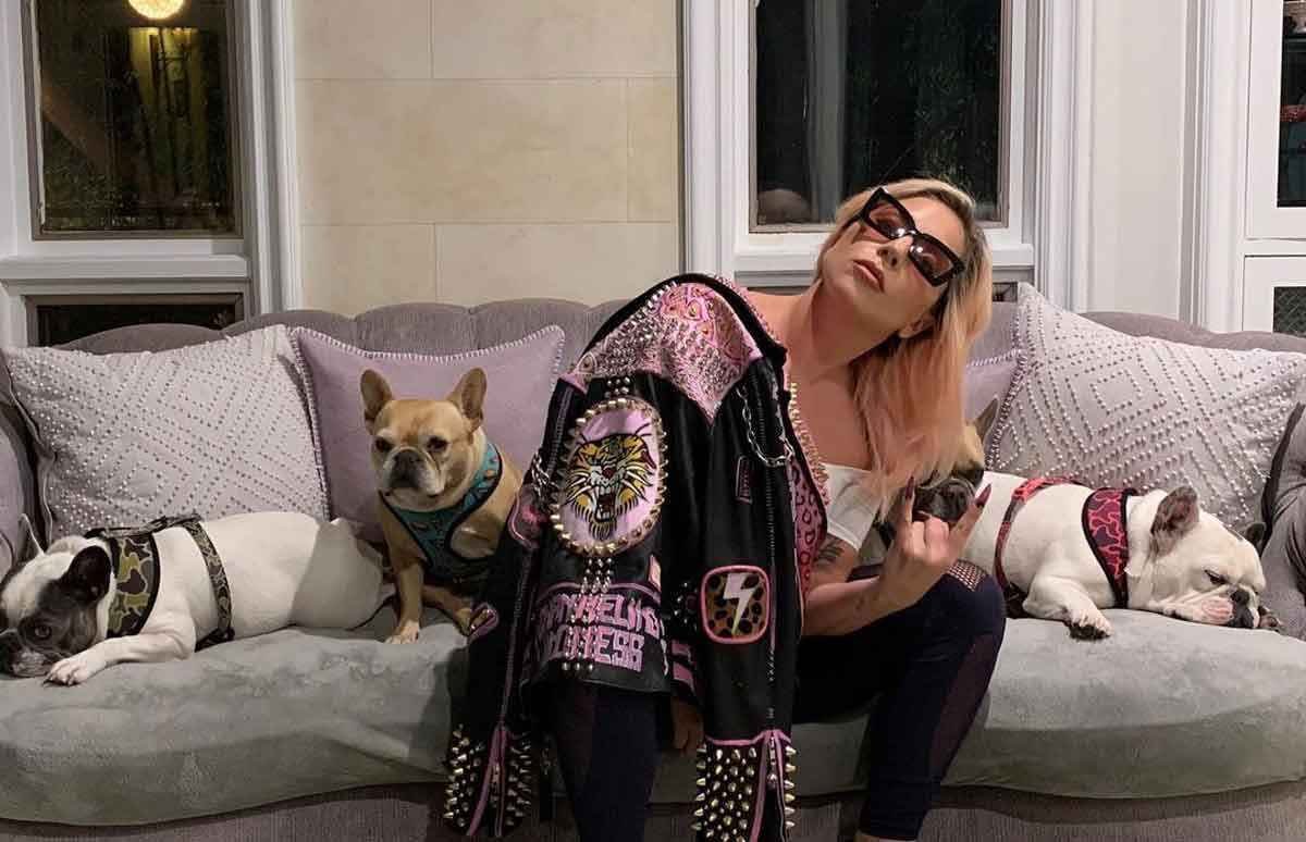 A moda agora é roubar cachorro. E não apenas da Lady Gaga... - Instagram/reprodução