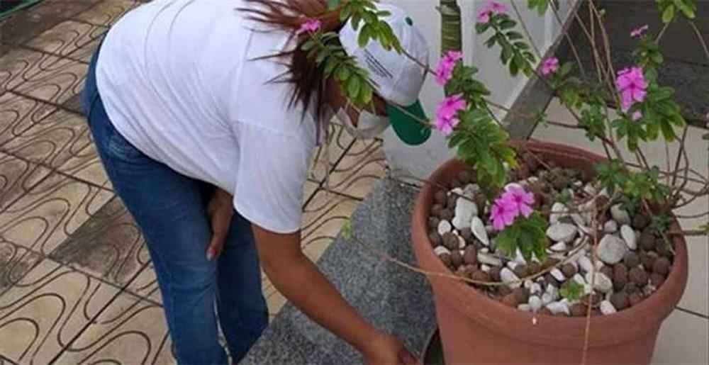 Janeiro com alto índice de focos de dengue em Sete Lagoas - Prefeitura de Sete Lagoas/Divulgação