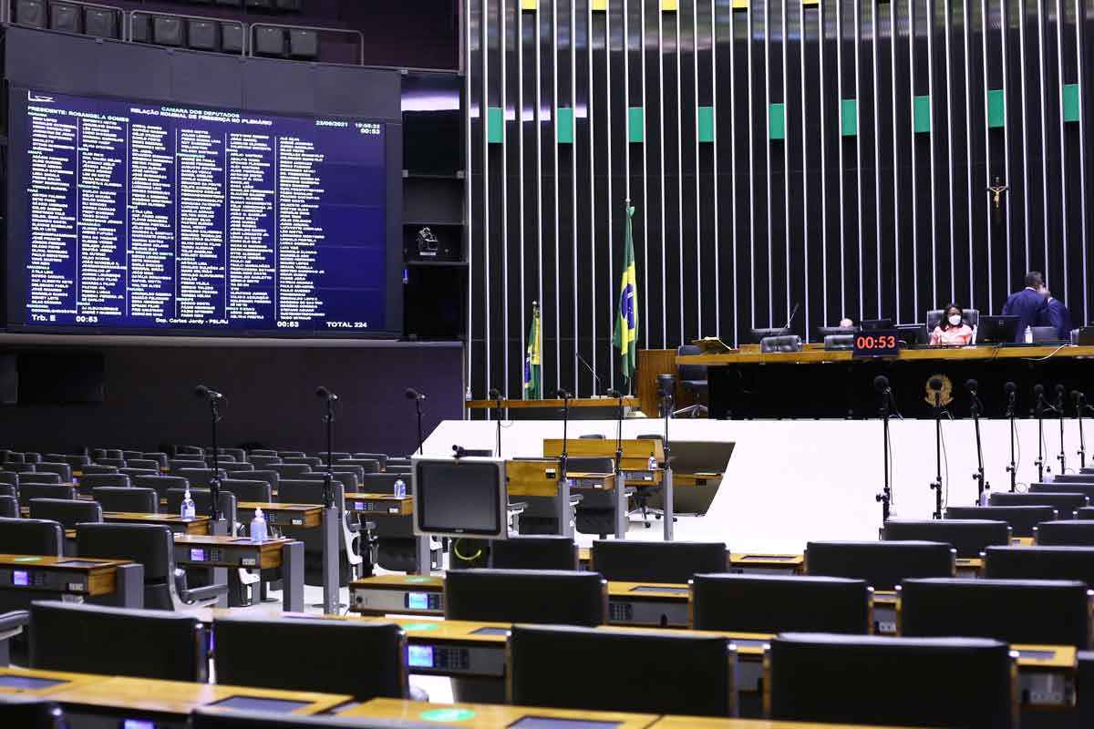 O Brasil é um enigma de ser decifrado. Uma causa é a impotência do Estado - NAJARA ARAÚJO/CÂMARA DOS DEPUTADOS