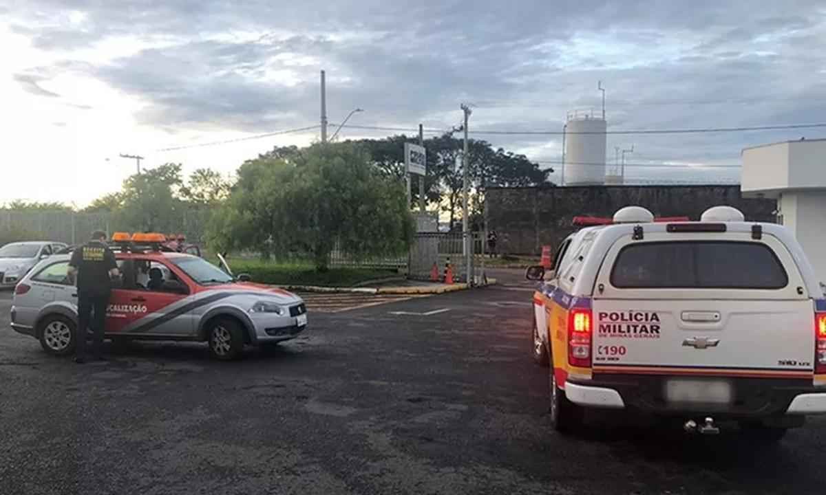 Operação descobre fraude no nascimento de 12 mil cabeças de gado em Minas - MPMG/Divulgação