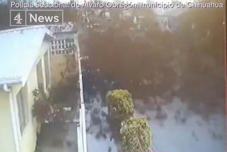 Vídeo: queda repentina de pássaros no México é alvo de investigação - Reprodução/Twitter Channel 4 News