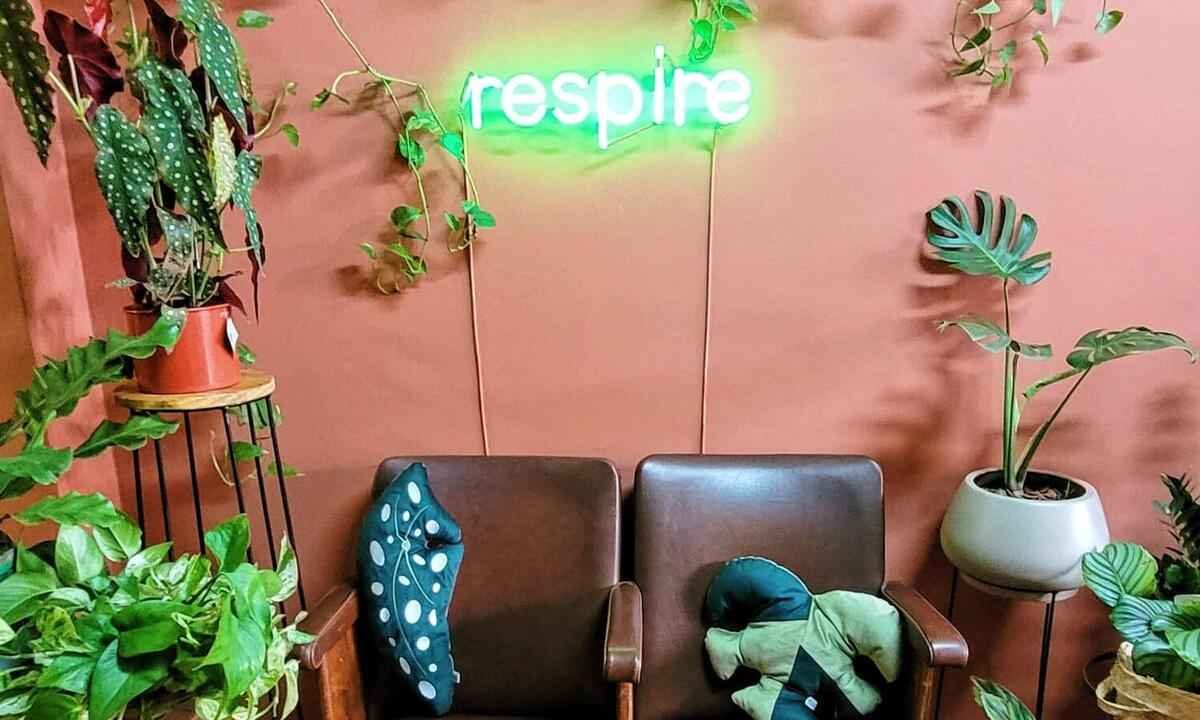 'Hype' das mães e pais de plantas veio para ficar! Veja como cuidar delas - Patrícia Cioffi/Arquivo pessoal
