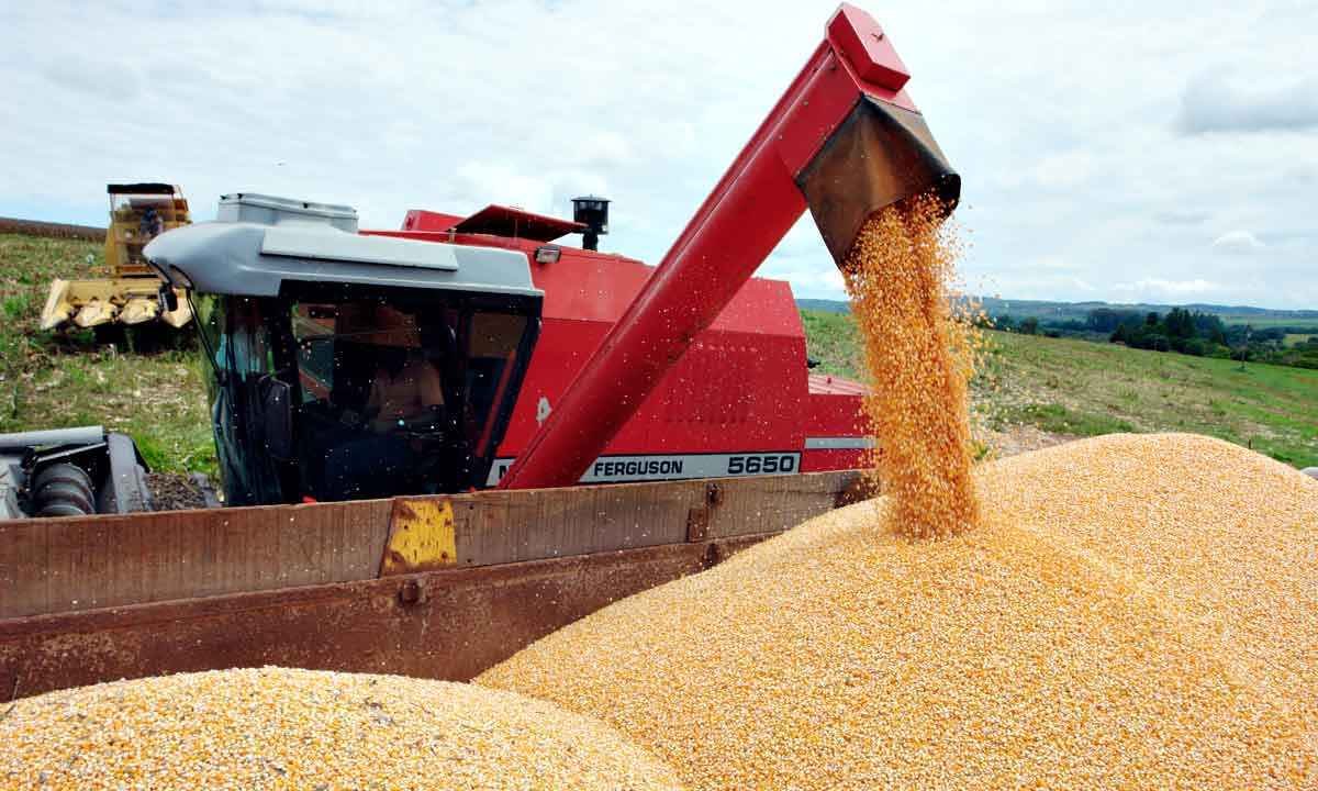 A crise da Ucrânia também tem sua Quarta-feira de Cinzas com ressaca - Olimpio Filho/Divulgação - 23/3/18