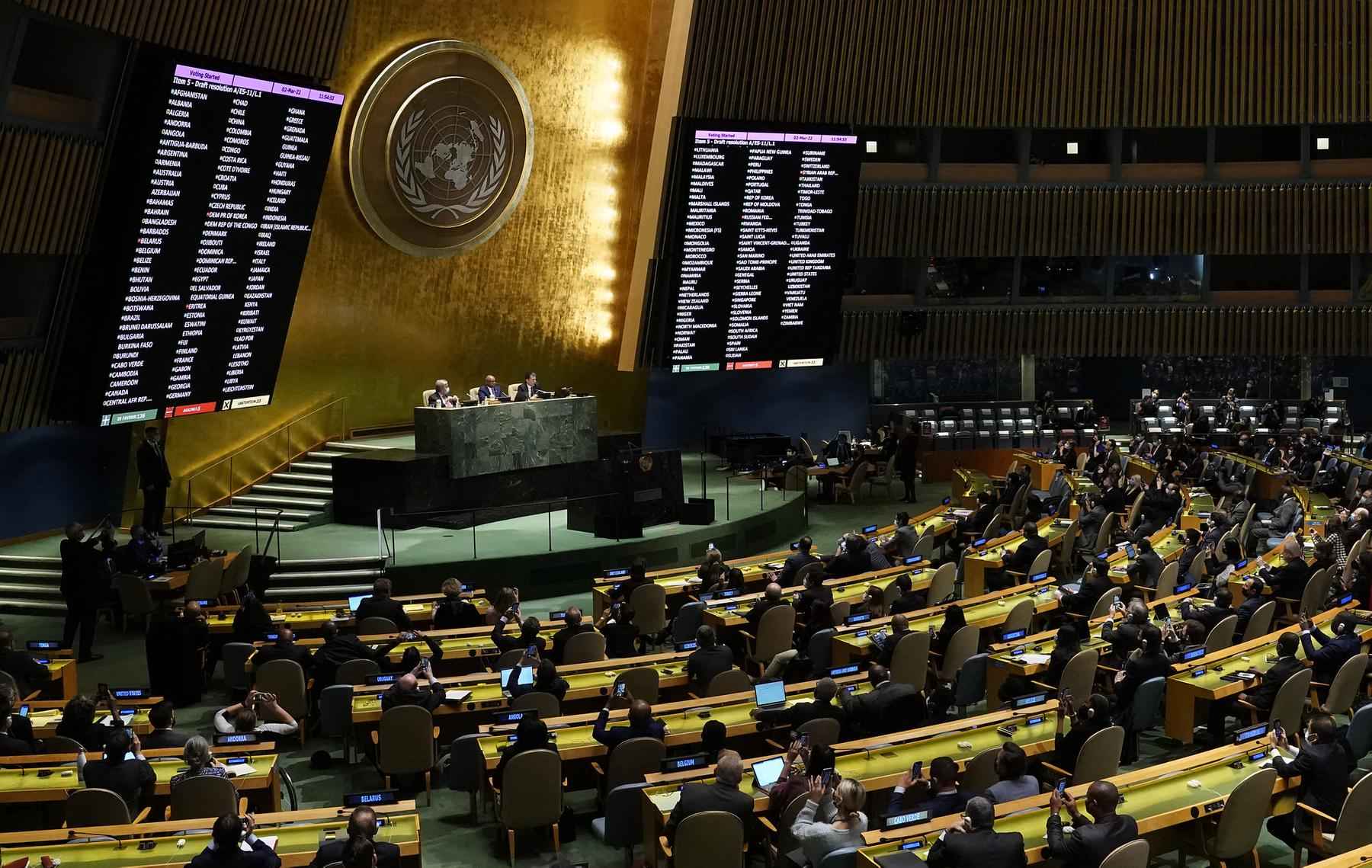 Brasil vota contra invasão da Ucrânia na assembleia geral da ONU - Andrea RENAULT / AFP