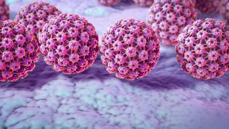 HPV: a vacina contra o câncer - Science Photo Library