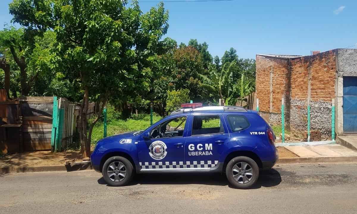 Homem que matou 9 cães está foragido; protetores de animais vão à Justiça - SUPRA/Divulgação