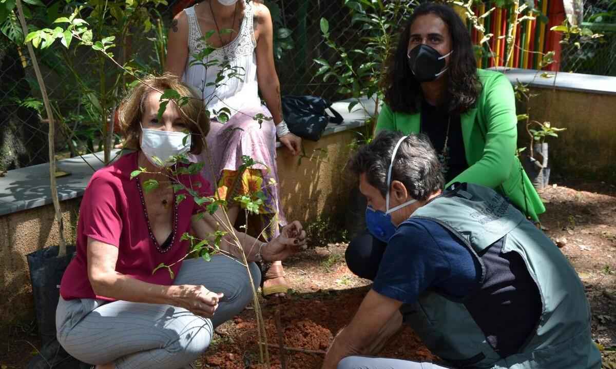 Prefeitura de BH quer plantar árvores e criar hortas em escolas municipais - Paula Roberta/Mandato Duda Salabert