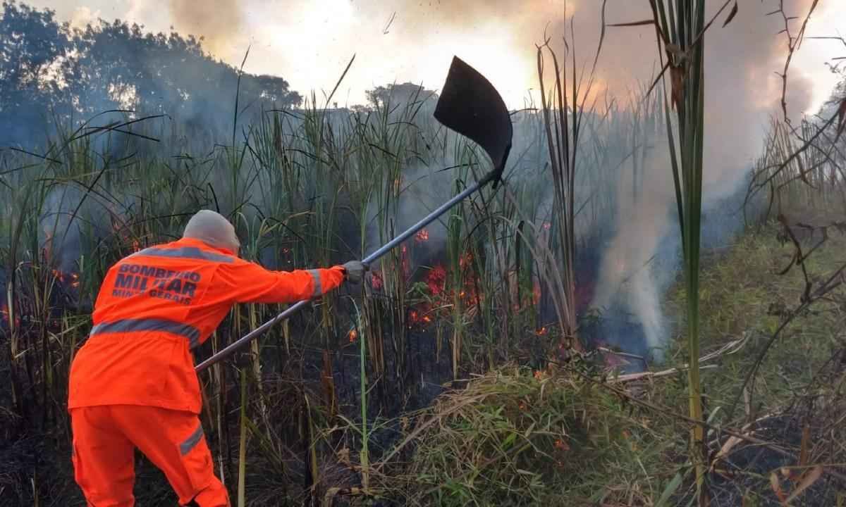 Preocupados com queimadas, bombeiros fazem fiscalização preventiva  em MG - Divulgação/Corpo de Bombeiros