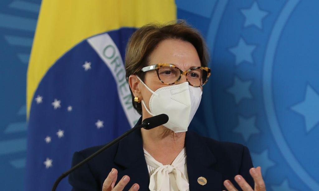 Apesar de sanções, Brasil tem estoque suficiente de fertilizantes  - Fabio Rodrigues Pozzebom/Agência Brasil