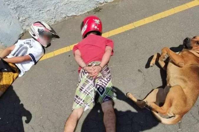 Obediente, cachorro caramelo deita com suspeitos em abordagem policial - Reprodução