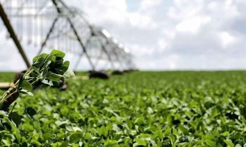 Governo lança plano para tentar reduzir importação de fertilizantes - Breno Fortes/CB/D.A Press