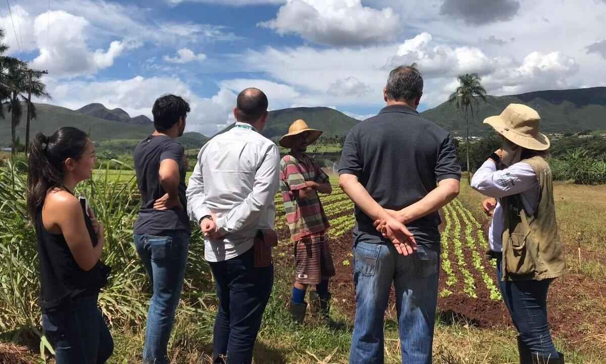 Produtores rurais de Mário Campos participam de programa-piloto - Acervo SuperAção