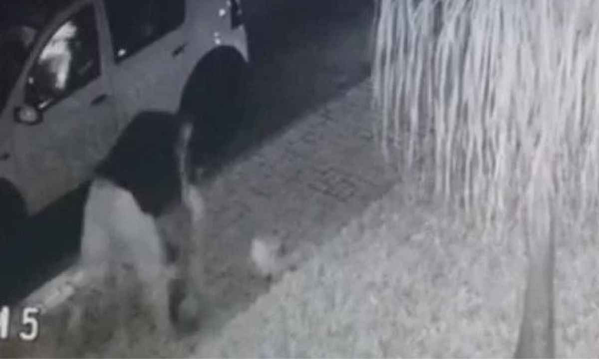 Novos vídeos mostram agressão de personal contra sem-teto em Brasília  - Material cedido ao Correio Braziliense 