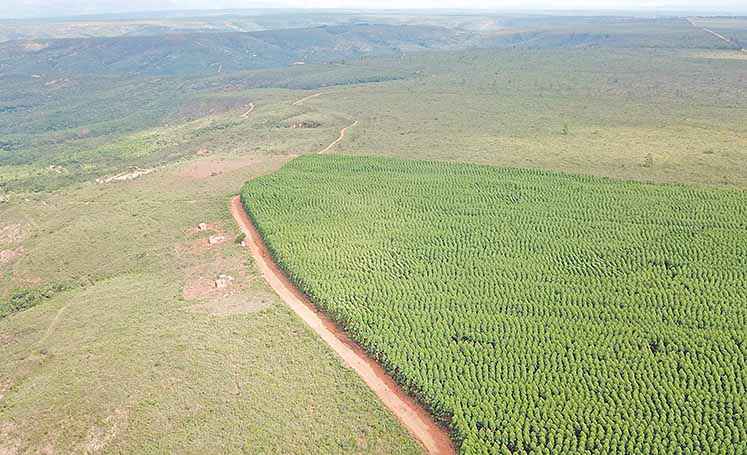 Por recomendação do MP, audiências sobre mineração em Minas são suspensas - AMAMS/divulgação