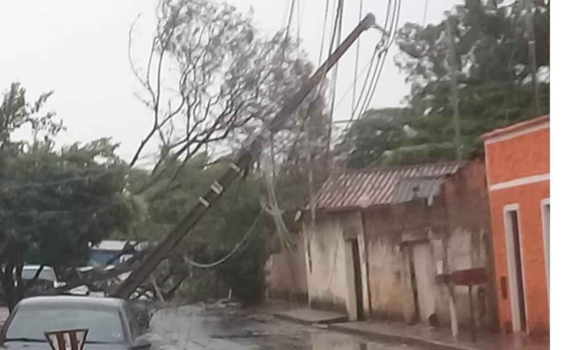 Forte chuva de granizo derruba mais de dez árvores em Uberaba - Redes sociais/reprodução