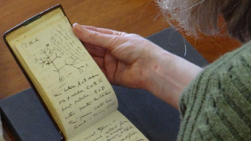 Os cadernos de Charles Darwin que reapareceram misteriosamente 22 anos após sumiço - Cambridge University Library