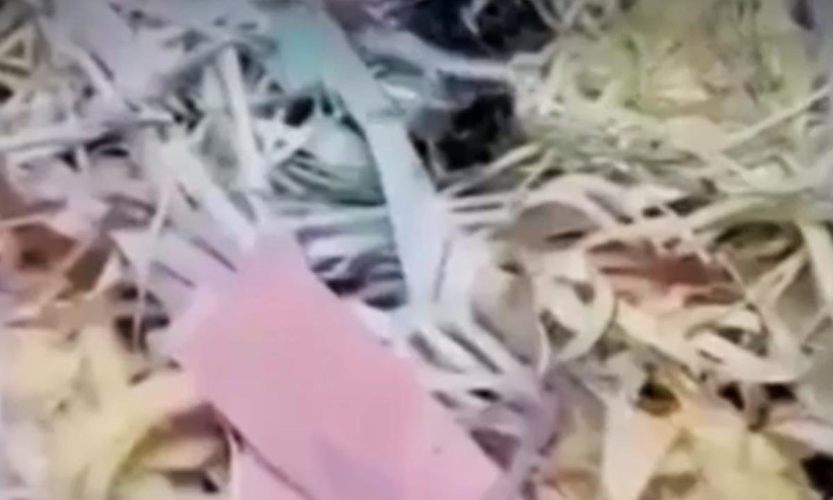 Procon investigará funerária que trocou flores por papel picado em caixões - Reprodução de WhatsApp